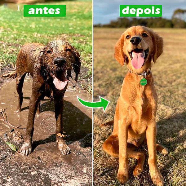 JetPet Plus - O seu cão limpo